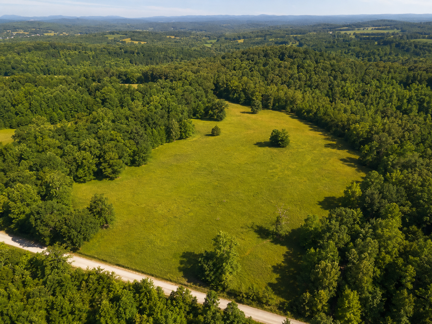Aerial view of wooded acreage surrounding a broad open meadow